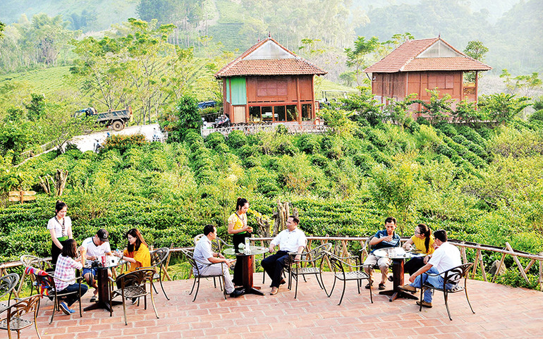 Thưởng thức trà bên khung cảnh thiên nhiên hùng vĩ, thơ mộng. Thưởng thức trà bên khung cảnh thiên nhiên hùng vĩ, thơ mộng.