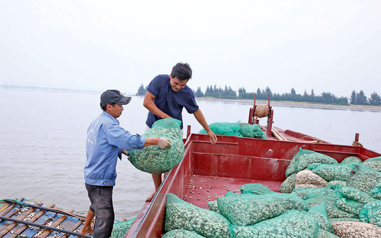 Từ khi chuyển đổi sang nuôi trồng thủy sản, đời sống bà con các xã ven biển ngày càng nâng cao.
