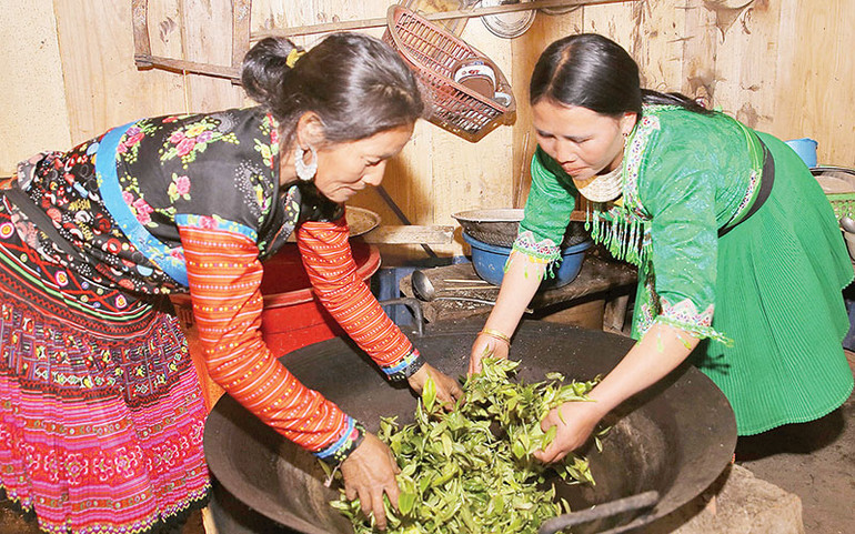 Ở xã Tà Xùa, đồng bào H’Mông vẫn duy trì cách thức sao chè bằng tay.