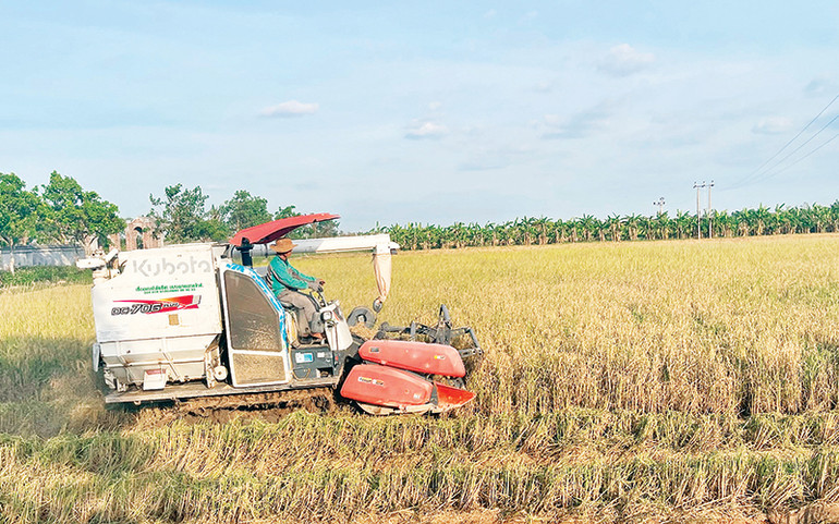 Trong 5 năm, Hải Dương giảm gần 1.700 ha đất nông nghiệp.