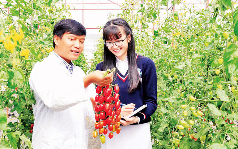 Toàn tỉnh có 768 nhãn hiệu được cấp chứng nhận thương hiệu “Đà Lạt - Kết tinh kỳ diệu từ đất lành”.