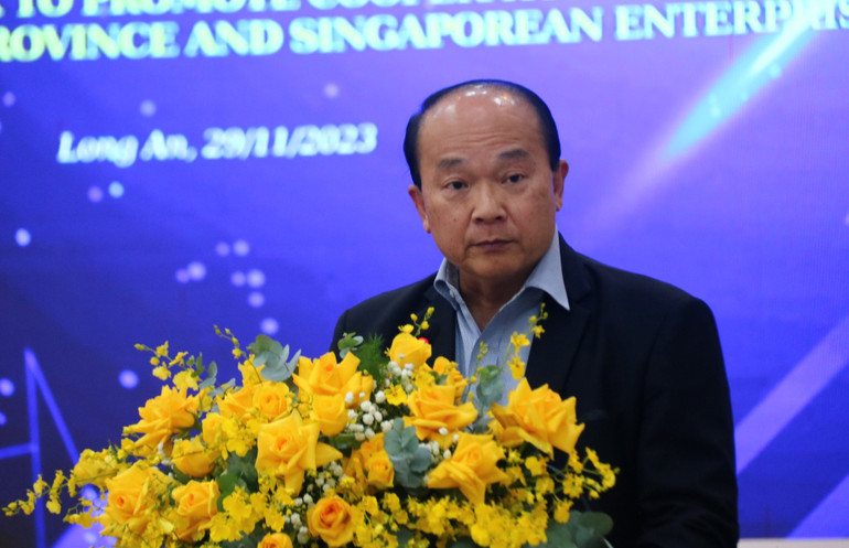 Tổng lãnh sự Singapore tại thành phố Hồ Chí Minh Roy Kho phát biểu tại buổi tọa đàm.