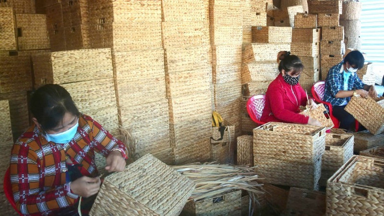 Mô hình đan giỏ bằng nguyên liệu lục bình đang giúp cho người lao động nông thôn, người già và trẻ em thêm thu nhập ổn định.