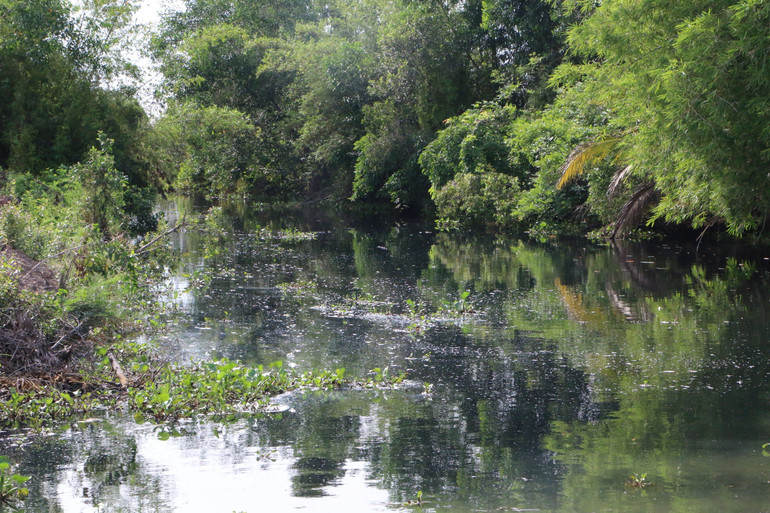 Nước ngọt trên kênh thủy lợi 19 chảy sang kênh thủy lợi 20 có màu rất đen, bốc mùi thối, nổi bọt trắng.