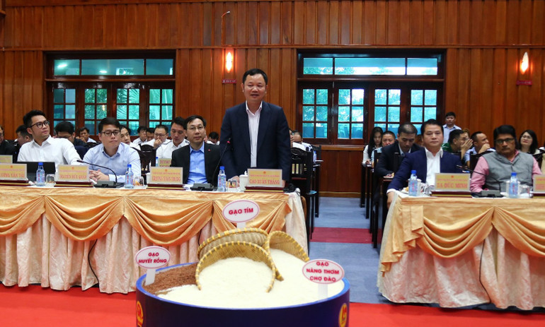 Lãnh đạo Tham tán Thương mại Việt Nam tại Singapore phát biểu tham luận.