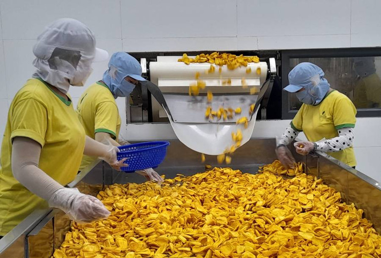 Sản phẩm nông nghiệp ở đồng bằng sông Cửu Long đã góp phần tăng kim ngạch xuất khẩu nông sản cả nước. Sản phẩm nông nghiệp ở đồng bằng sông Cửu Long đã góp phần tăng kim ngạch xuất khẩu nông sản cả nước.