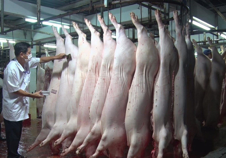 Lực lượng cán bộ thú y tỉnh Long An đóng dấu kiểm dịch động vật tại các cơ sở giết mổ trước khi đưa ra thị trường.