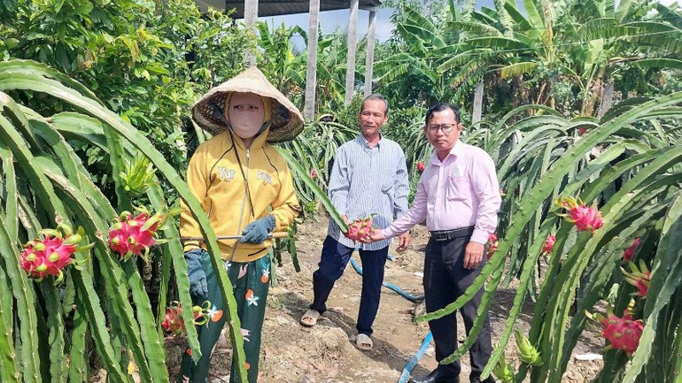 Cán bộ Ngân hàng Chính sách xã hội thăm gia đình ông Phan Văn Bảy, ấp Bình Xuyên, xã Bình Quới (huyện Châu Thành, Long An).