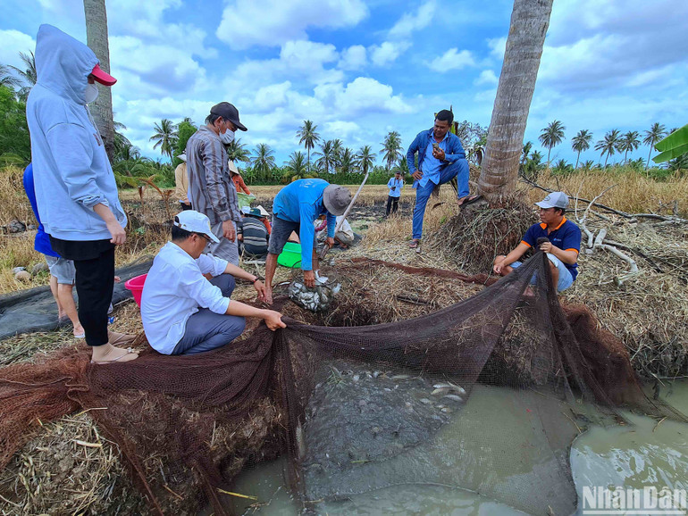 Vùng quê Khánh Hải gắn với Nghệ nhân dân gian Nguyễn Long Phi còn biết đến là “rún” cá đồng của huyện Trần Văn Thời.