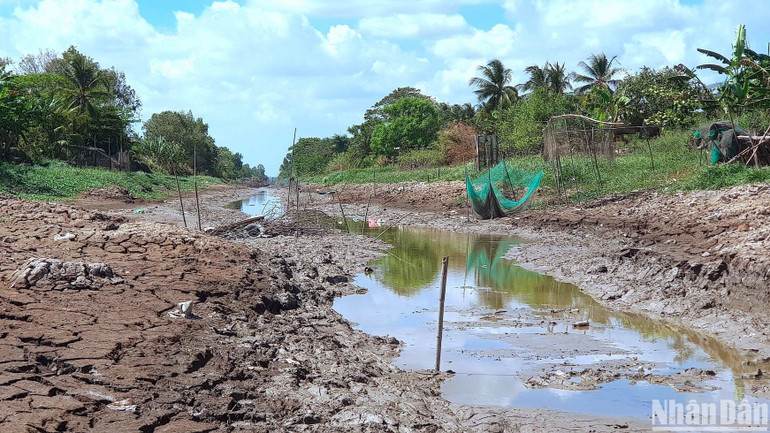 Mực nước tại nhiều con kênh lớn trên địa bàn đang ở dưới mực nước chết và sắp cạn khô.