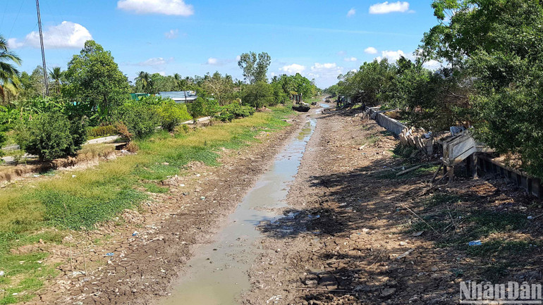 Mực nước tại nhiều con kênh lớn trên địa bàn vùng ngọt huyện Trần Văn Thời đang ở dưới mực nước chết và sắp cạn khô.