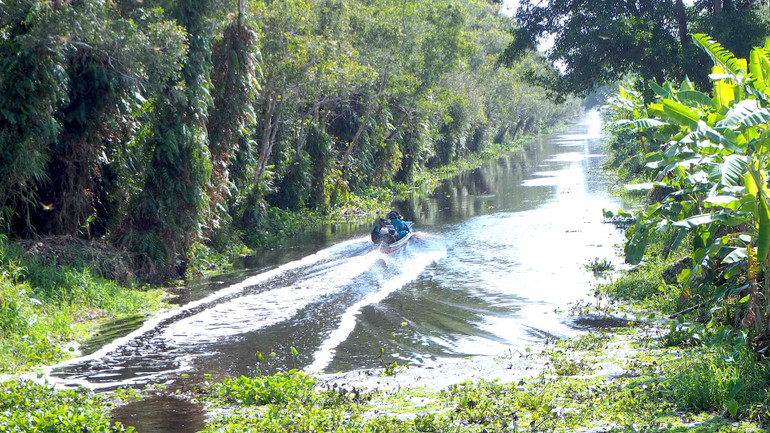 Lực lượng chuyên trách Vườn Quốc gia U Minh hạ dùng xuồng đi tuần tra, bảo vệ rừng nhờ kênh, rạch còn nhiều nước.