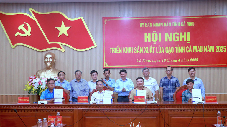 Doanh nghiệp ngành hàng lúa gạo ký hợp tác liên kết chuỗi sản xuất tại hội nghị, trước sự chứng kiến của chính quyền địa phương.