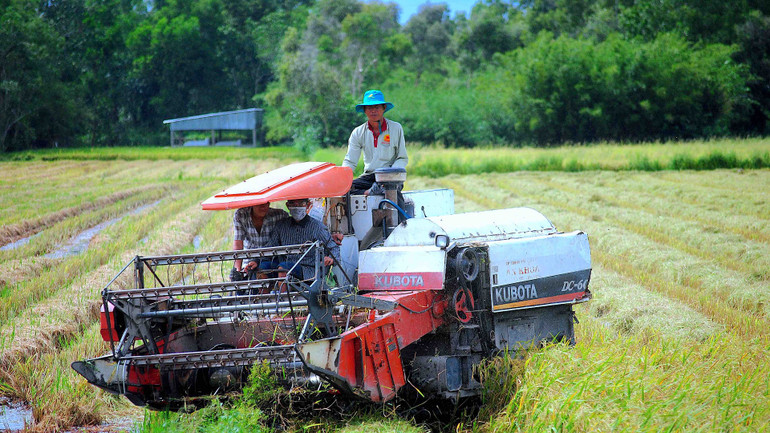 Nông dân Cà Mau đẩy mạnh cơ giới hóa trong sản xuất nông nghiệp.