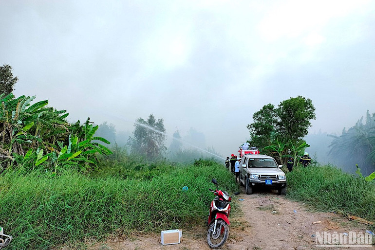Khói ngùn ngụt tỏa đi khắp nơi không lâu khi đám cháy xảy ra tại khu vực rừng sản xuất của Nông trường 402