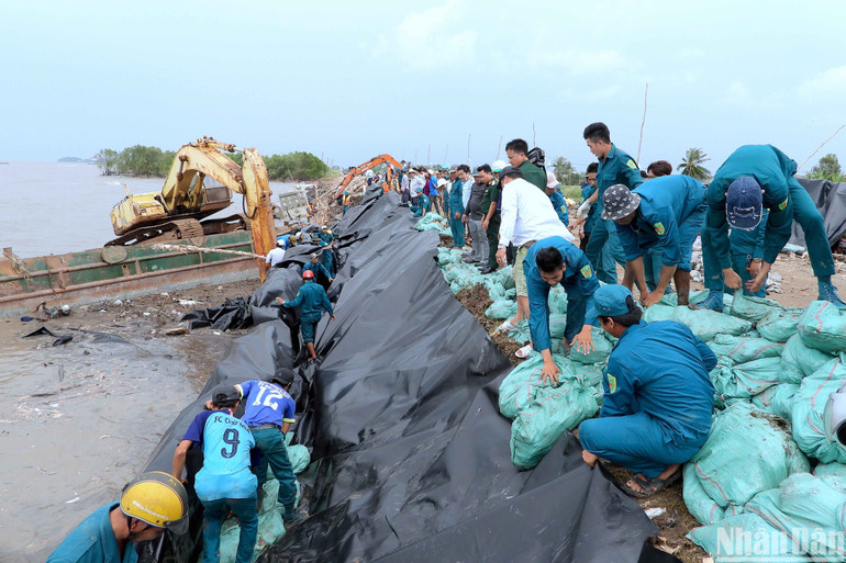 Màng chống thấm HDPE kết hợp bao tải đất là 1 trong nhiều vật liệu hộ đê được Cà Mau áp dụng trong tình huống khẩn cấp.