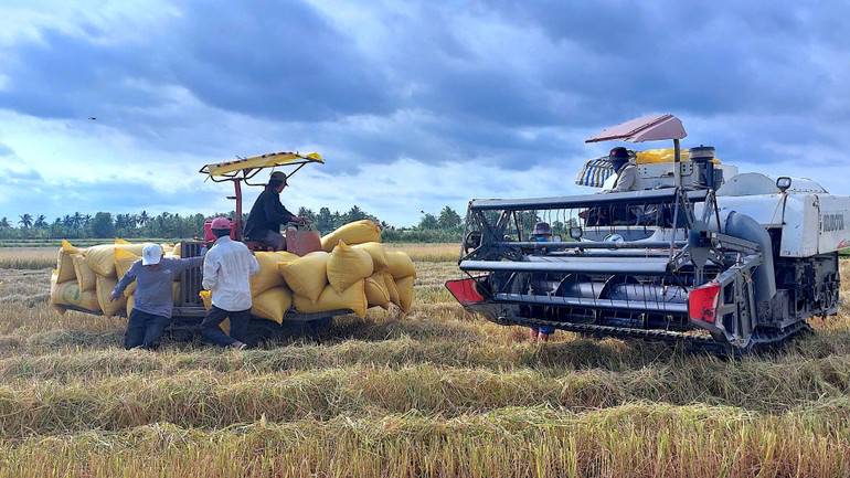 Vùng nông thôn huyện Trần Văn Thời đẩy mạnh cơ giới hóa trong nông nghiệp. Vùng nông thôn huyện Trần Văn Thời đẩy mạnh cơ giới hóa trong nông nghiệp.