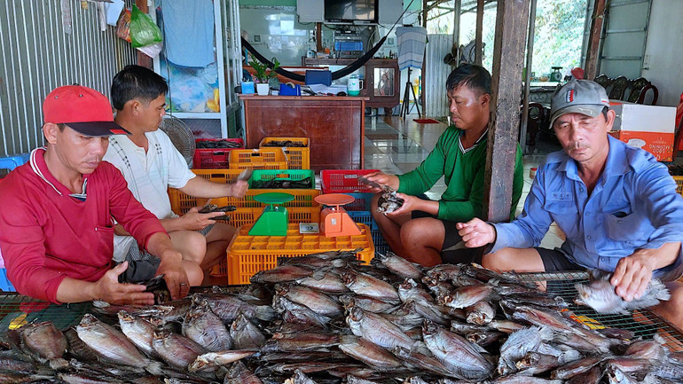 Nuôi và làm khô cá bổi đã trở thành "đặc sản" vùng quê huyện Trần Văn Thời, được nhiều nhà nông áp dụng thành công. Nuôi và làm khô cá bổi đã trở thành "đặc sản" vùng quê huyện Trần Văn Thời, được nhiều nhà nông áp dụng thành công.