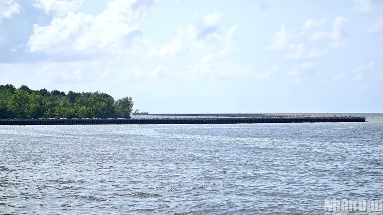 Công trình ứng phó sạt lở bên bờ biển Đông thuộc xã Đất Mũi, huyện Ngọc Hiển, tỉnh Cà Mau.