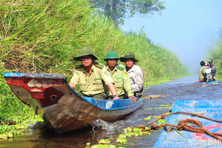 Lực lượng quản lý, bảo vệ rừng ngập ngọt Cà Mau tăng cường công tác tuần tra, ứng trực trong mùa khô hạn.