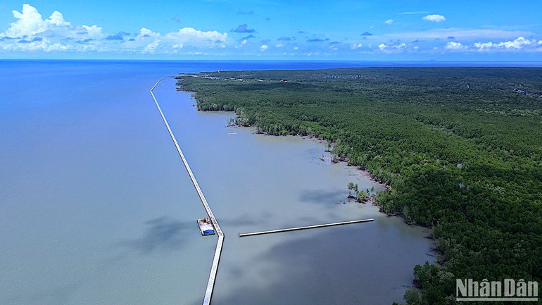 Cà Mau hoàn thành hàng chục km kè ven biển nhờ nguồn vốn hỗ trợ của Trung ương.