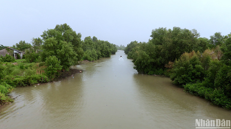 Cầu Lung Dừa khi hoàn thành sẽ giúp nối đôi bờ con kênh tại vùng giáp ranh giữa xã Tân Đức và Tạ An Khương Đông của huyện Đầm Dơi, tỉnh Cà Mau.