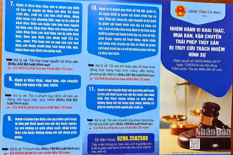 Các nhóm hành vi liên quan đến khai thác, mua bán, vận chuyển trái phép thuỷ sản sẽ bị truy cứu trách nhiệm hình sự. Các nhóm hành vi liên quan đến khai thác, mua bán, vận chuyển trái phép thuỷ sản sẽ bị truy cứu trách nhiệm hình sự.