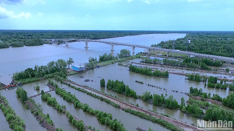 Khu vực cầu Năm Căn bắt ngang sông Cửa Lớn, gần khu vực xảy ra vụ việc khiến 3 người tử vong sau tiếng nổ lớn. Khu vực cầu Năm Căn bắt ngang sông Cửa Lớn, gần khu vực xảy ra vụ việc khiến 3 người tử vong sau tiếng nổ lớn.
