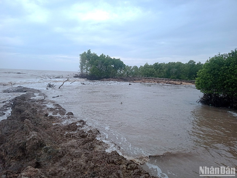 Vị trí bị sóng biển đánh vào bờ gây sạt lở vùng ven biển xã Tam Giang Đông rộng khoảng 400m2.