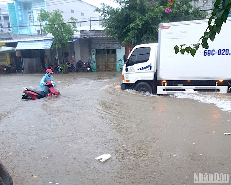 Đường nội đô thành phố Cà Mau bị ngập sâu khiến việc di chuyển khó khăn, nhiều phương tiện bị chết máy.