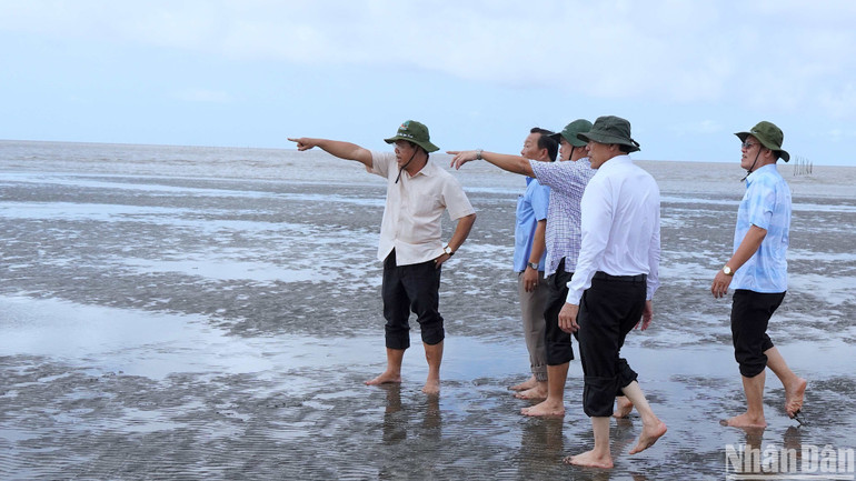 Bí thư Tỉnh ủy Nguyễn Tiến Hải và Chủ tịch Ủy ban nhân dân tỉnh Cà Mau Huỳnh Quốc Việt khảo sát thực tế tại bãi bồi Mũi Cà Mau.