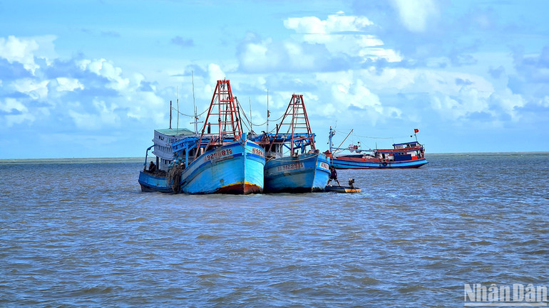 Cà Mau có 100% tàu cá chiều dài lớn nhất từ 15m trở lên đã được lắp đặt thiết bị giám sát hành trình, đánh dấu tàu cá theo quy định.