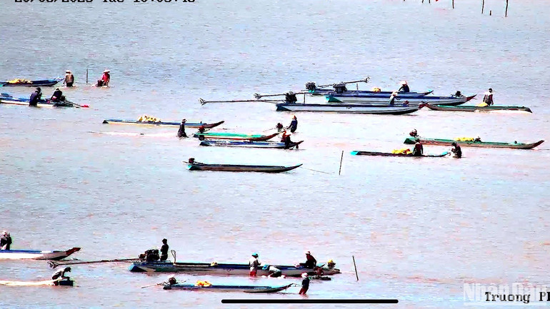 Khu vực xuất hiện nhiều nghêu giống nằm trong khu khoanh nuôi nghêu thương phẩm của Hợp tác xã nghêu Đất Mũi.