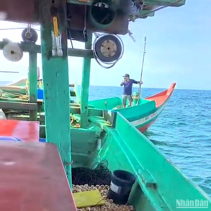 Xử lý nghiêm tình trạng tranh chấp ngư trường trên vùng biển Cà Mau ảnh 1