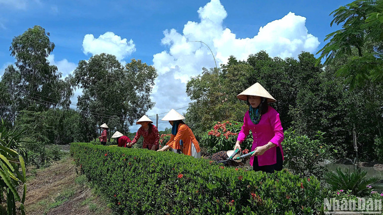 Qua công tác dân vận các cấp tại Cà Mau, nhiều vùng nông thôn hưởng ứng tích cực các phong trào trong xây dựng nông thôn mới, đô thị văn minh.