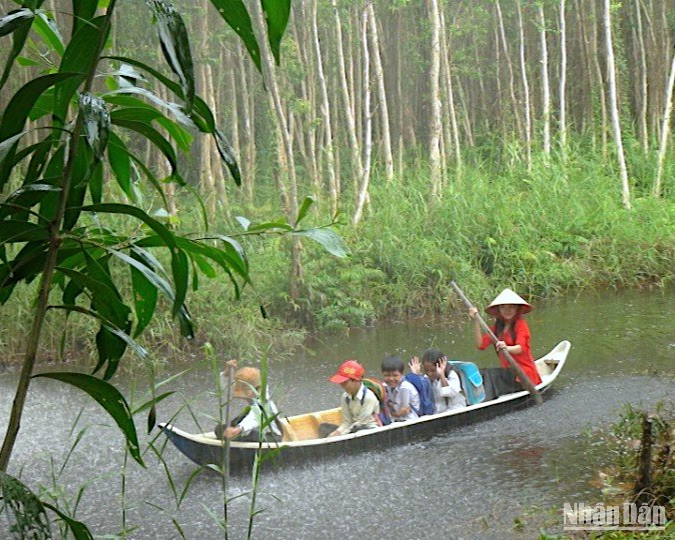 Học sinh miệt rừng tràm U Minh hạ (Cà Mau) hăm hở đến trường bất kể trời mưa to, gió lớn.