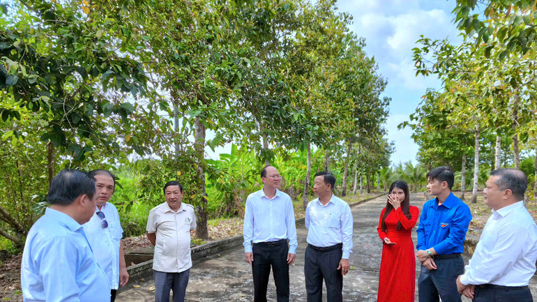 Bí thư Tỉnh ủy Cà Mau Nguyễn Hồ Hải (giữa) cùng đại diện lãnh đạo tỉnh Cà Mau nghe thuyết trình về Di tích Đình Tân Hưng gắn với sự kiện cờ Đảng tung bay lần đầu tiên trên mảnh đất Cà Mau. Bí thư Tỉnh ủy Cà Mau Nguyễn Hồ Hải (giữa) cùng đại diện lãnh đạo tỉnh Cà Mau nghe thuyết trình về Di tích Đình Tân Hưng gắn với sự kiện cờ Đảng tung bay lần đầu tiên trên mảnh đất Cà Mau.