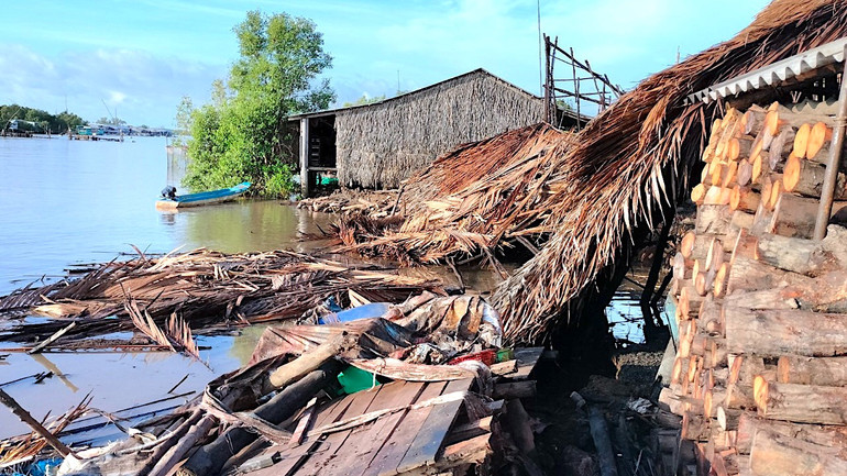 Khu vực sạt lở thuộc ấp Nhà Hội (xã Tam Giang, huyện Năm Căn) làm hư hỏng 4 nhà dân vào rạng sáng 23/5. Khu vực sạt lở thuộc ấp Nhà Hội (xã Tam Giang, huyện Năm Căn) làm hư hỏng 4 nhà dân vào rạng sáng 23/5.