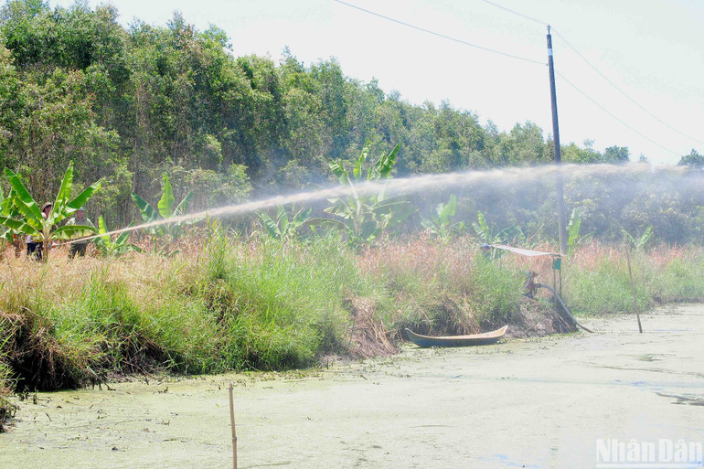 Vận hành thiết bị chuyên dụng phục vụ phòng cháy, chữa cháy rừng tại Vườn quốc gia U Minh Hạ.