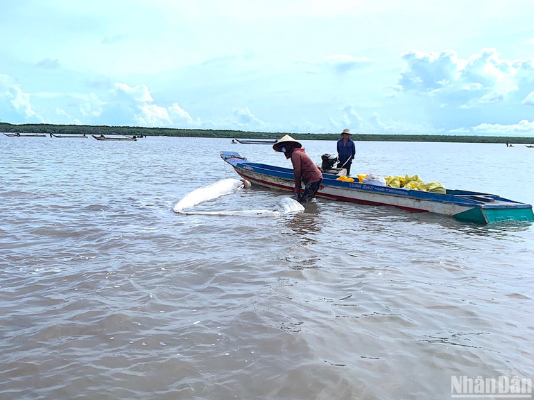 Dòng người khai thác nghêu giống đa phần thuộc diện có hoàn cảnh khó khăn, mưu sinh bằng nghề làm mướn, làm thuê.