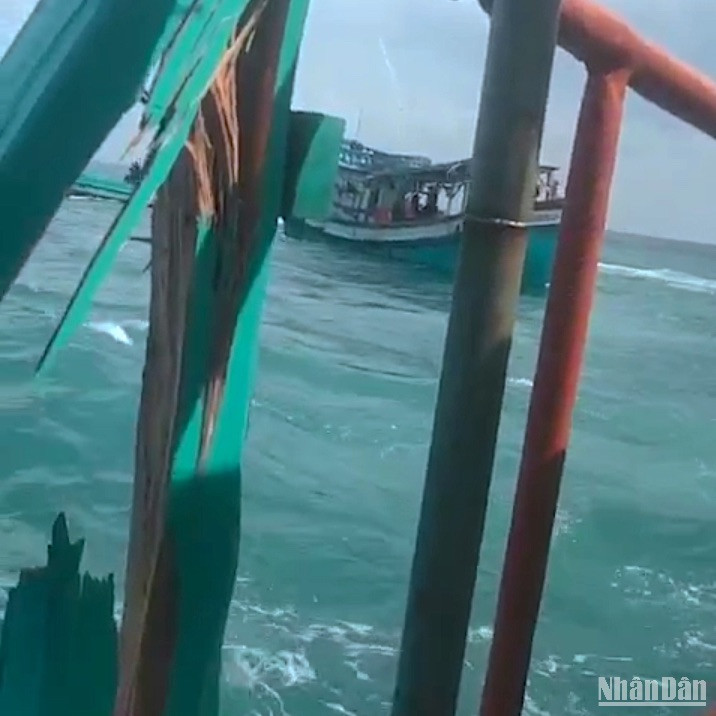 Một tàu cá hành nghề ốc bẫy mực của ngư dân Đá Bạc bị một tàu khác (đối diện) tông ngang hông làm hư hỏng thân tàu.