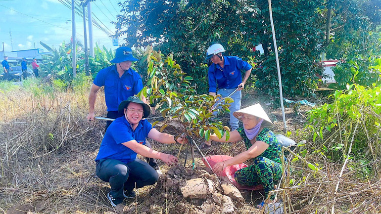 Tuổi trẻ Cà Mau ra quân giúp dân trồng cây, gây dựng lại vườn vú sữa trên quê hương xã Trí Phải, huyện Thới Bình, tỉnh Cà Mau.