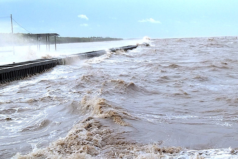 Vùng đồng bằng sông Cửu Long có nhiều lợi thế phát triển nông nghiệp nhưng đang đối mặt nhiều thách thức, đặc biệt là tác động bất lợi từ biến đổi khí hậu. (Ảnh: Ban tổ chức cung cấp). Vùng đồng bằng sông Cửu Long có nhiều lợi thế phát triển nông nghiệp nhưng đang đối mặt nhiều thách thức, đặc biệt là tác động bất lợi từ biến đổi khí hậu. (Ảnh: Ban tổ chức cung cấp).