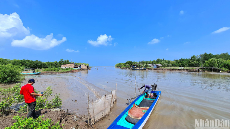 Khu vực đê biển Tây (Cà Mau) chưa được nâng cấp không có đường giao thông, người dân đi lại chủ yếu bằng đường thủy .