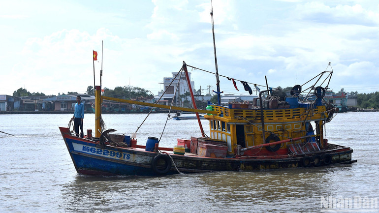 Nhóm tàu cá của ngư dân Kiên Giang bị tấn công trong đêm duy chuyển vào bờ, neo đậu tại miền biển Cà Mau để trình báo vụ việc đến cơ quan chức năng.