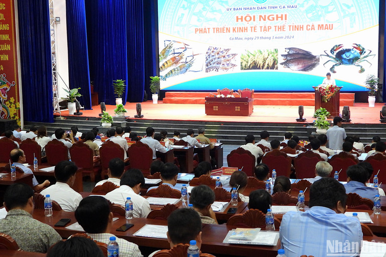 Gần 1 ngày diễn ra, hội nghị phát triển kinh tế tập thể tại Cà Mau thông qua Đề án phát triển kinh tế tập thể giai đoạn 2024-2030.