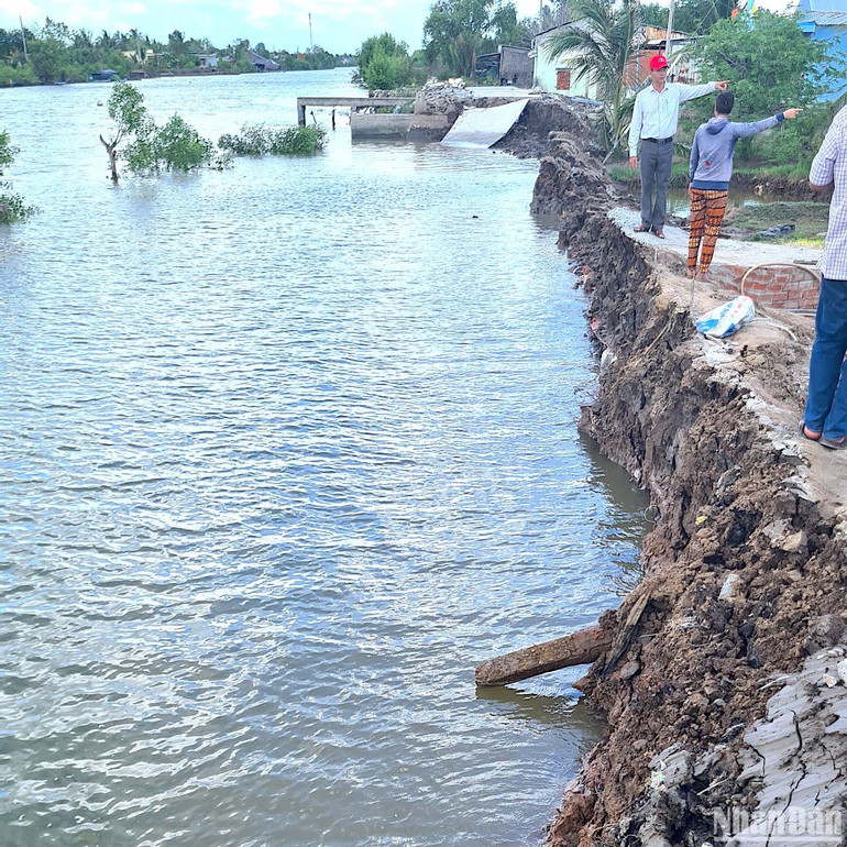 Sạt lở đất ven sông làm hư hỏng đường giao thông nông thôn trên địa bàn xã Quách Phẩm (huyện Đầm Dơi, tỉnh Cà Mau) vào rạng sáng 24/5.