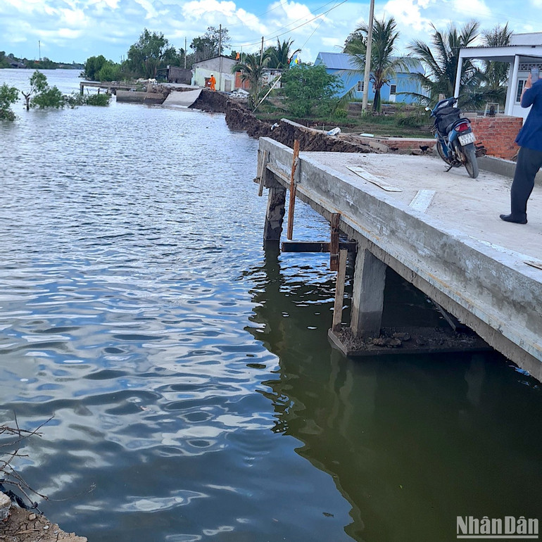 Sạt lở đất ven sông làm hư hỏng đường giao thông nông thôn trên địa bàn xã Quách Phẩm (huyện Đầm Dơi, tỉnh Cà Mau) vào rạng sáng 24/5.