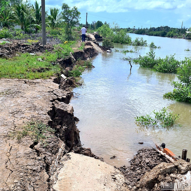 Sạt lở đất ven sông nhấn chìm một đoạn đường nông thôn dài 70m ở xã Ngọc Chánh (huyện Đầm Dơi, tỉnh Cà Mau) trong ngày 24/5.