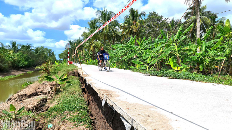 Vùng nông thôn huyện Trần Văn Thời có hàng loạt tuyến đường cảnh báo nguy hiểm vì sụt lún, sạt lở.